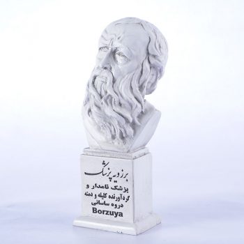 سردیس برزویه پزشک