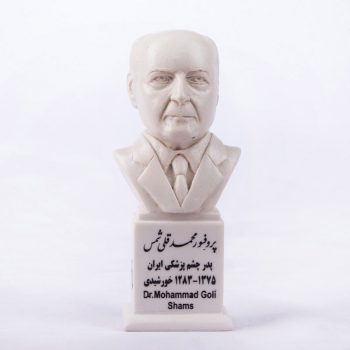 سردیس پروفسور محمدقلی شمس