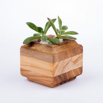 گلدان چوبی مکعبی 6